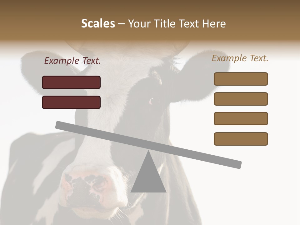 Google Images Animals PowerPoint Template