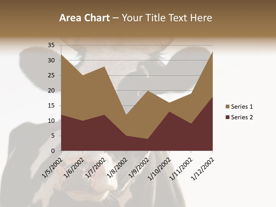 Google Images Animals PowerPoint Template