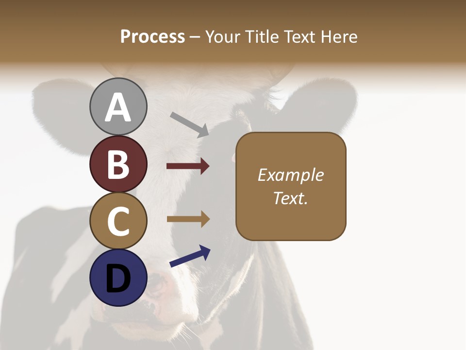 Google Images Animals PowerPoint Template