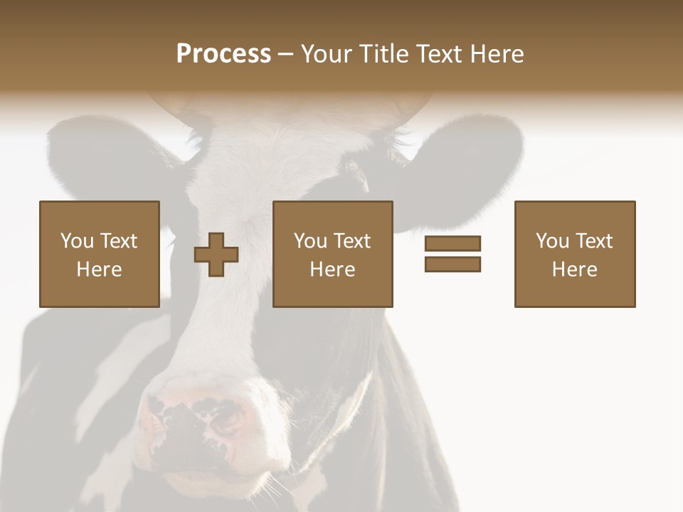 Google Images Animals PowerPoint Template