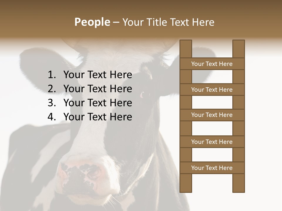 Google Images Animals PowerPoint Template