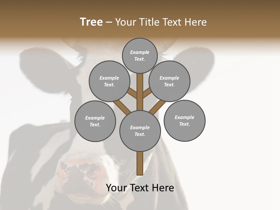 Google Images Animals PowerPoint Template