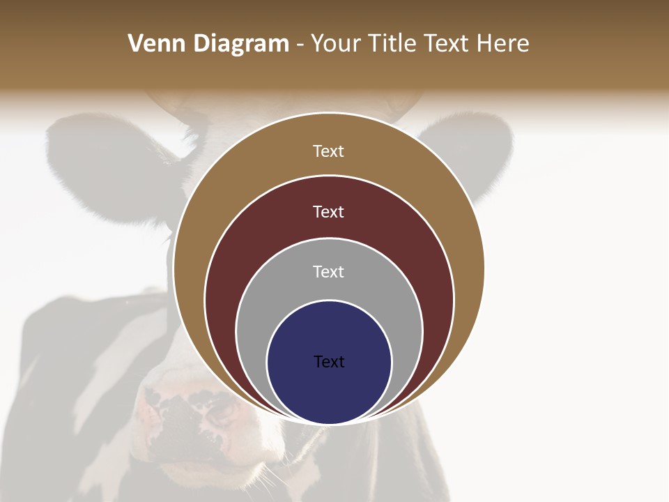 Google Images Animals PowerPoint Template