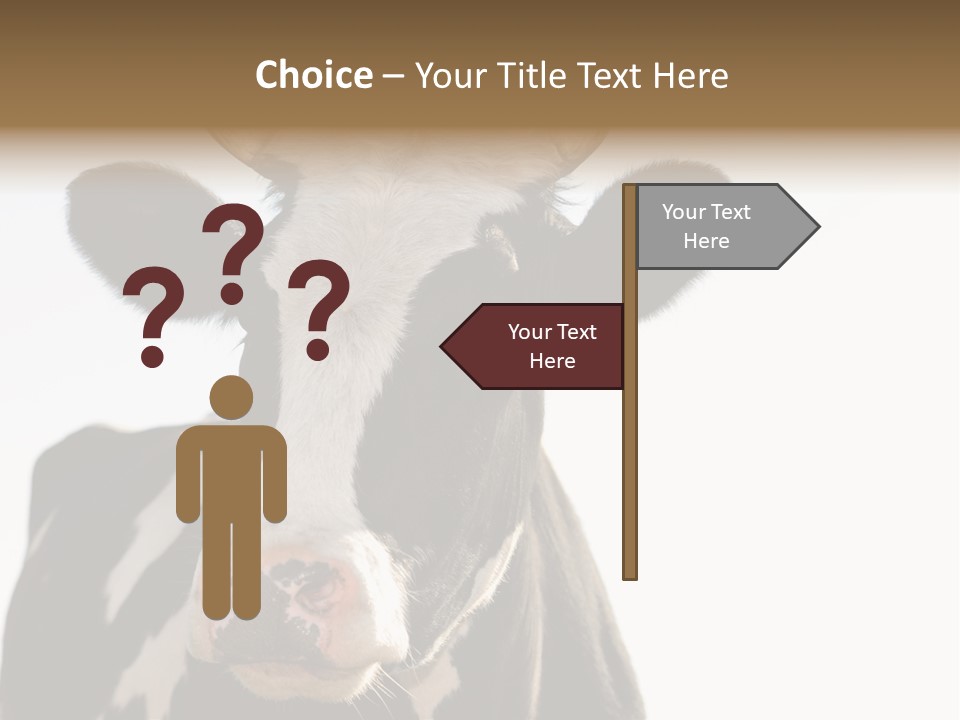 Google Images Animals PowerPoint Template