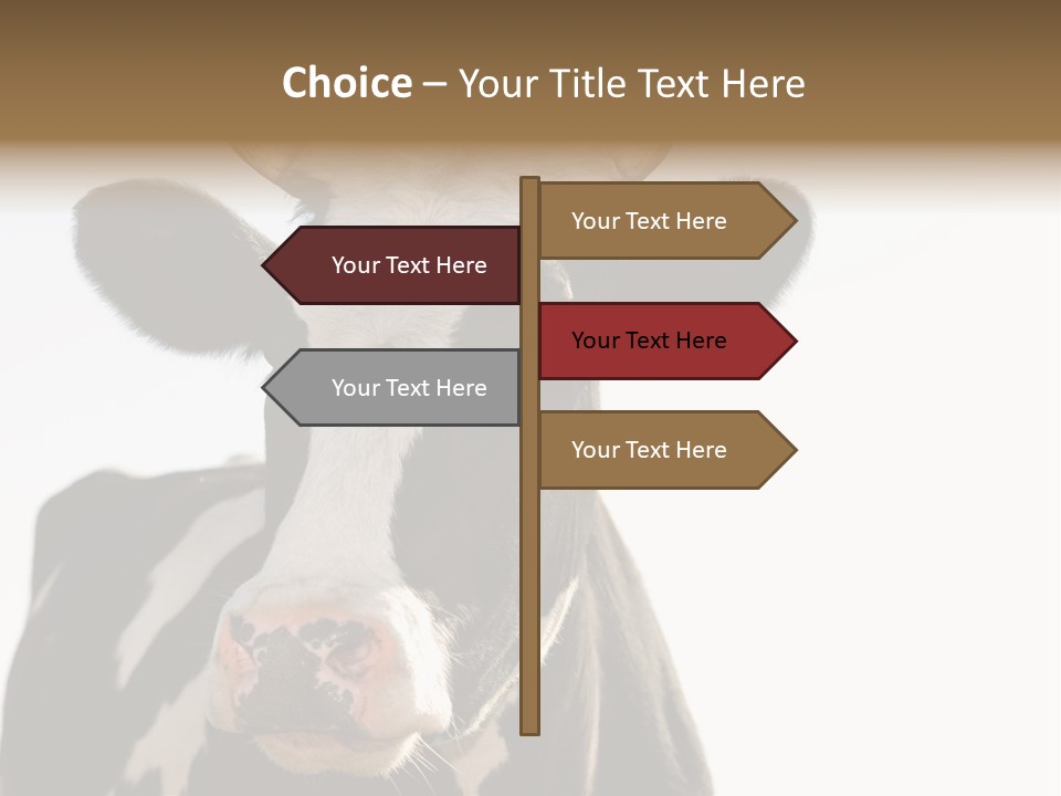 Google Images Animals PowerPoint Template