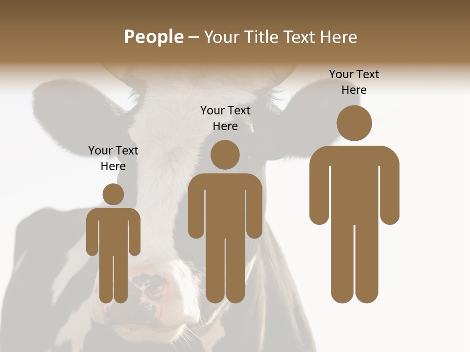 Google Images Animals PowerPoint Template