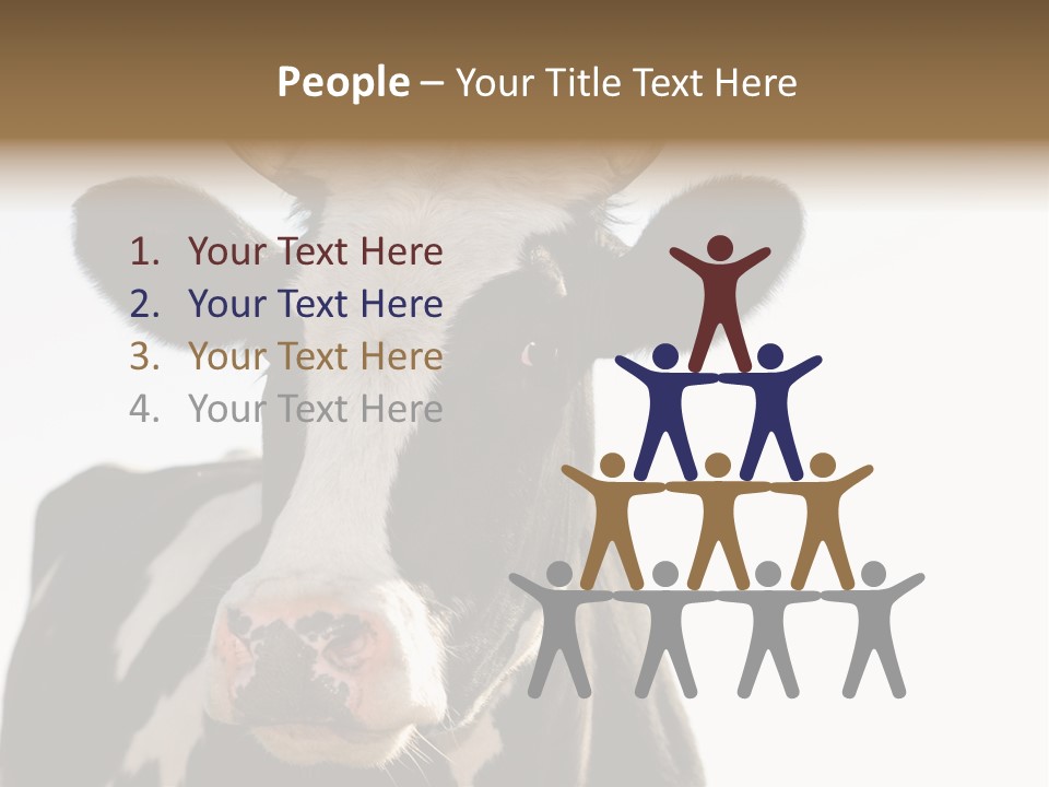 Google Images Animals PowerPoint Template