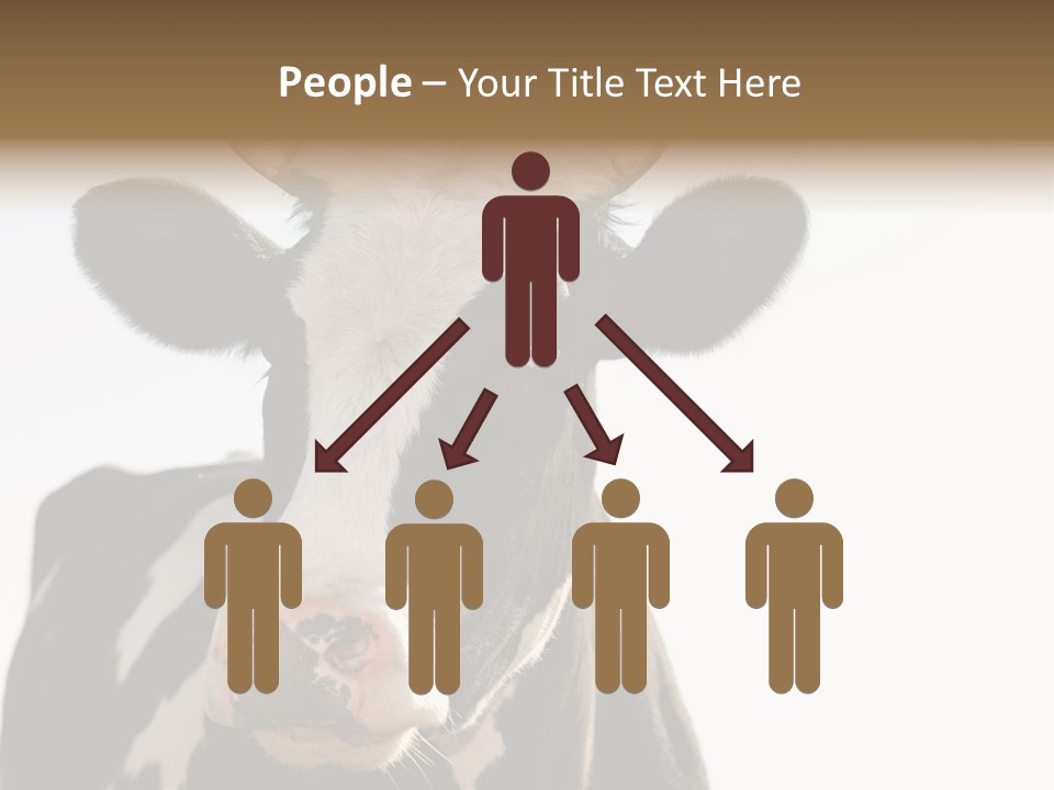 Google Images Animals PowerPoint Template