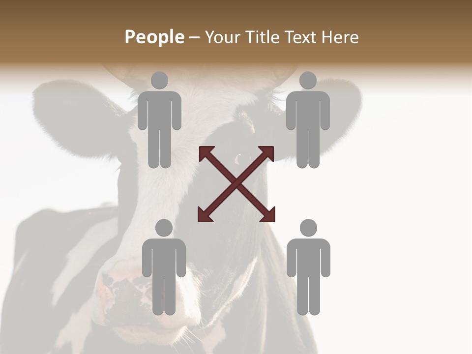 Google Images Animals PowerPoint Template