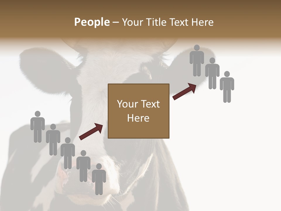 Google Images Animals PowerPoint Template