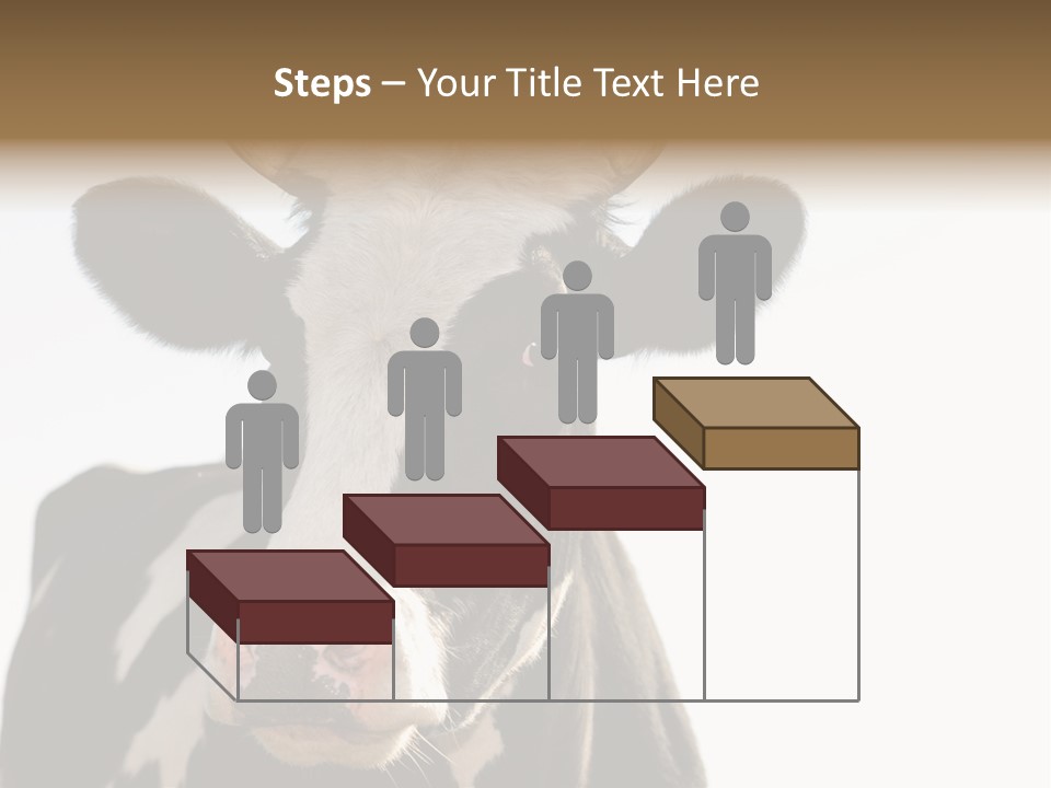 Google Images Animals PowerPoint Template