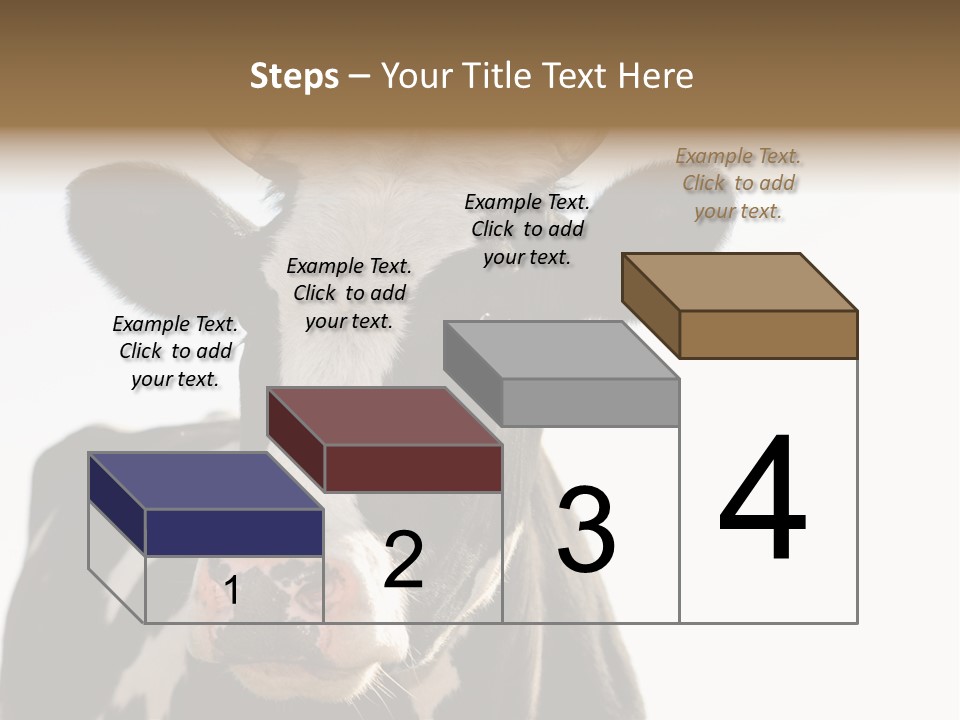 Google Images Animals PowerPoint Template