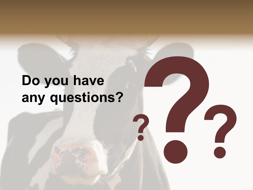 Google Images Animals PowerPoint Template