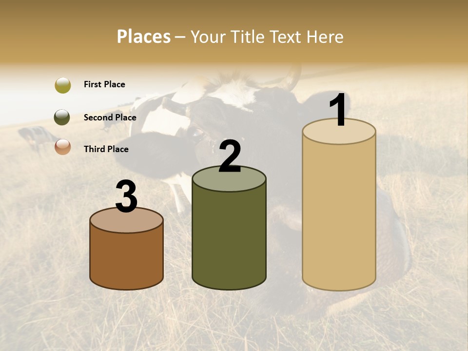 Close Up Green Black PowerPoint Template