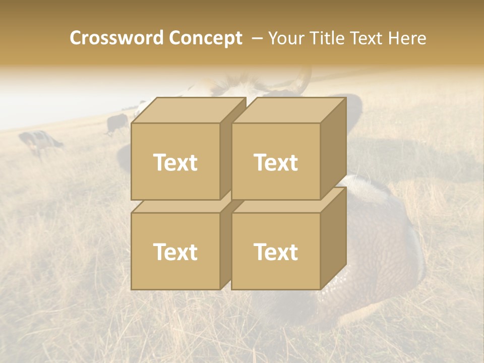 Close Up Green Black PowerPoint Template