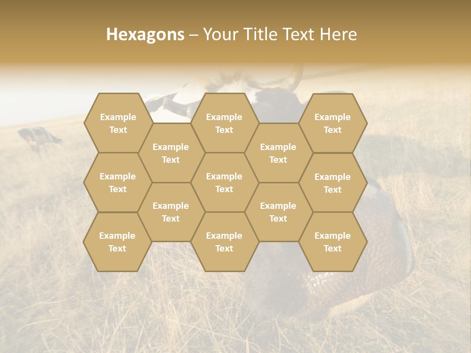 Close Up Green Black PowerPoint Template