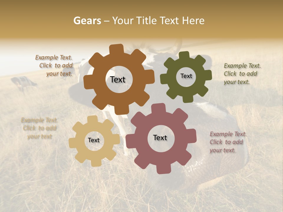 Close Up Green Black PowerPoint Template