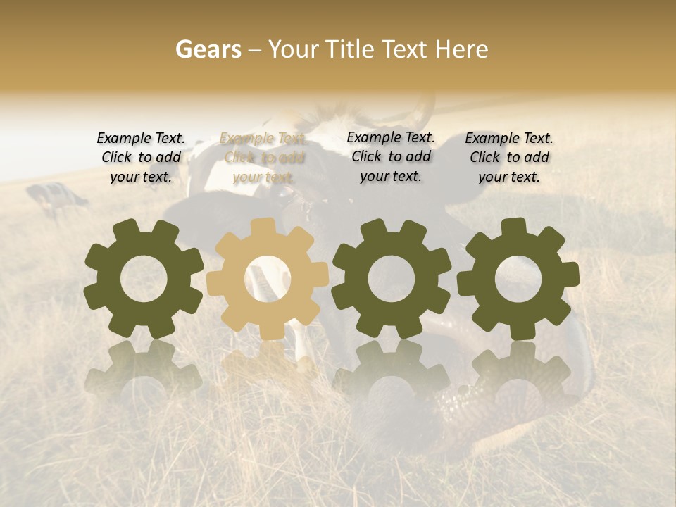 Close Up Green Black PowerPoint Template