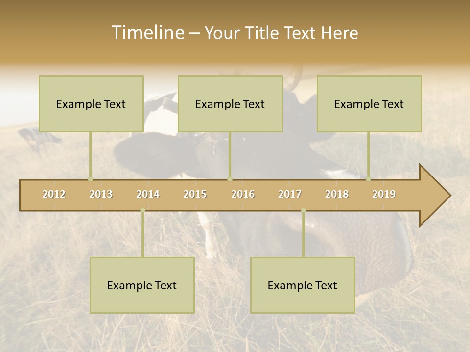 Close Up Green Black PowerPoint Template