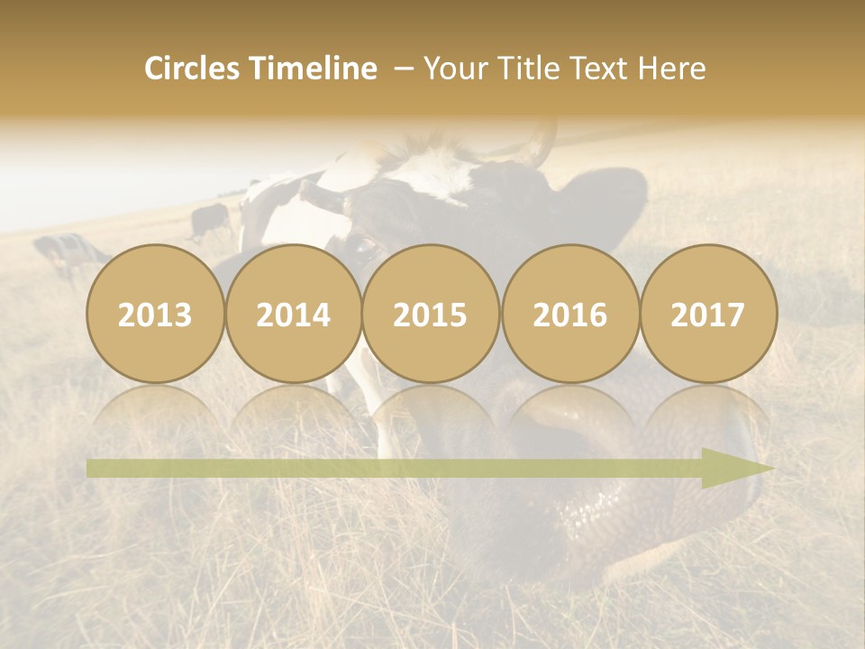 Close Up Green Black PowerPoint Template