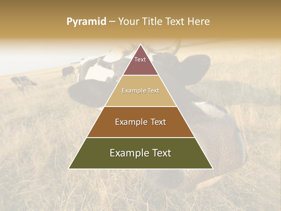 Close Up Green Black PowerPoint Template