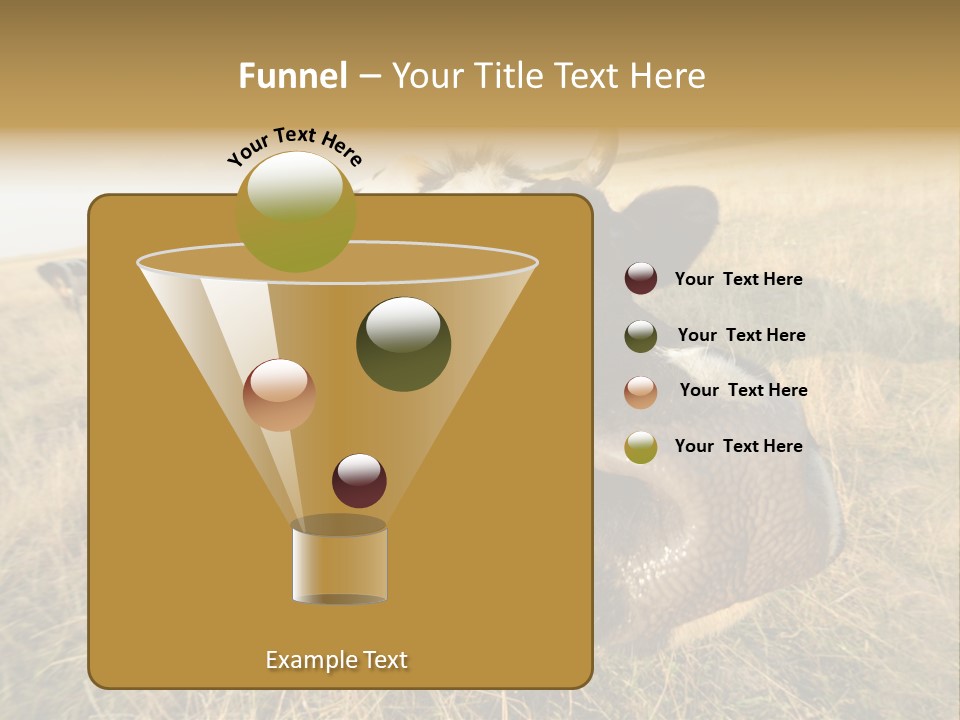 Close Up Green Black PowerPoint Template