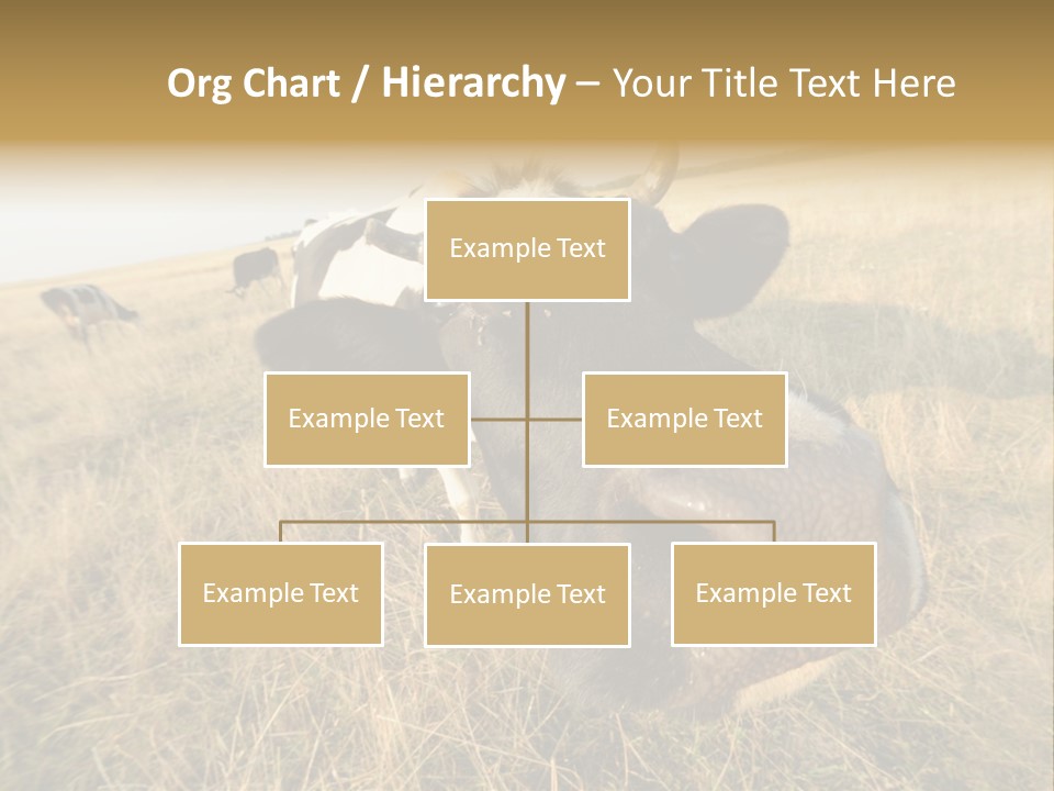 Close Up Green Black PowerPoint Template