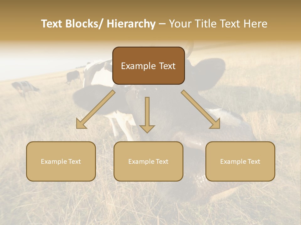Close Up Green Black PowerPoint Template