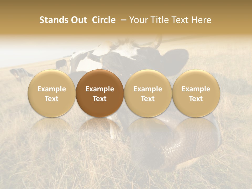 Close Up Green Black PowerPoint Template