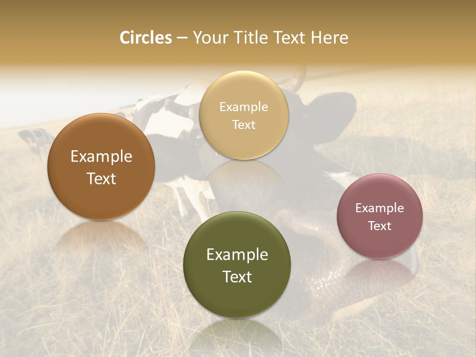 Close Up Green Black PowerPoint Template