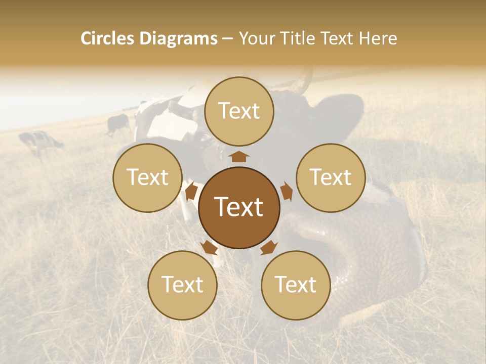 Close Up Green Black PowerPoint Template