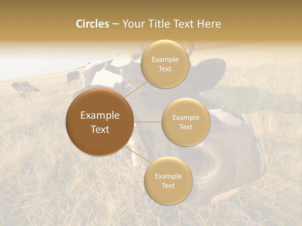 Close Up Green Black PowerPoint Template