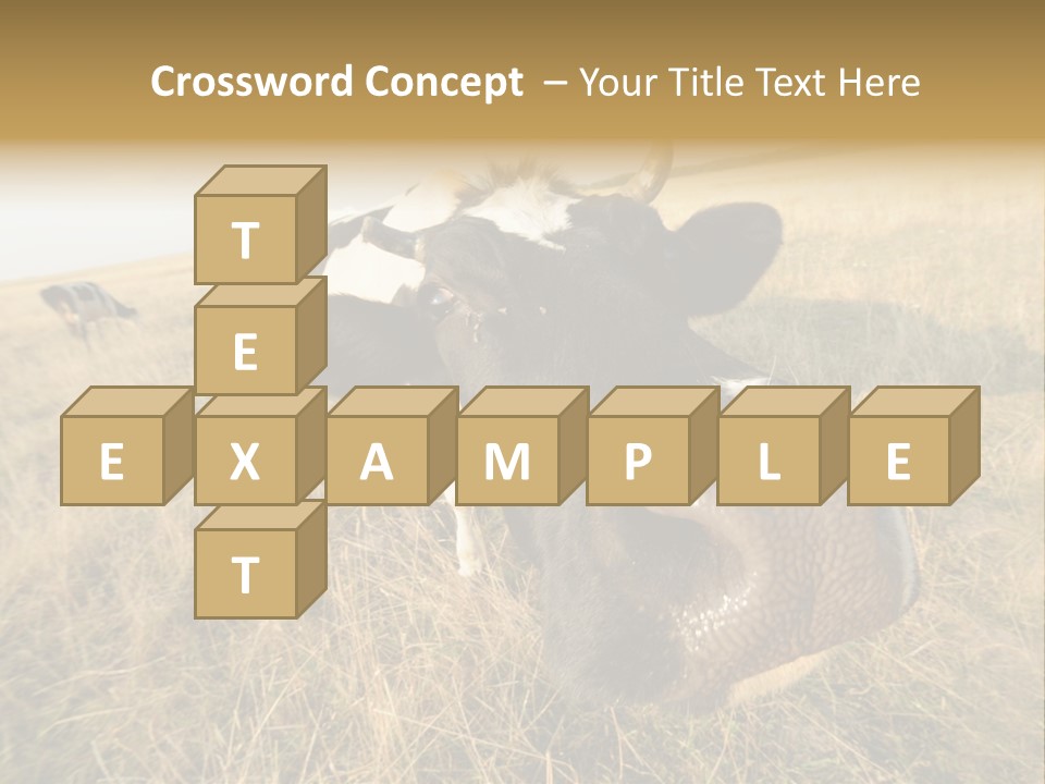 Close Up Green Black PowerPoint Template