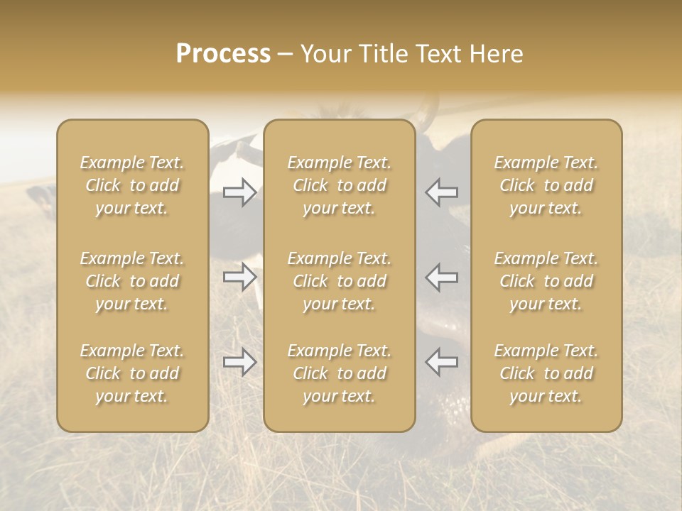 Close Up Green Black PowerPoint Template