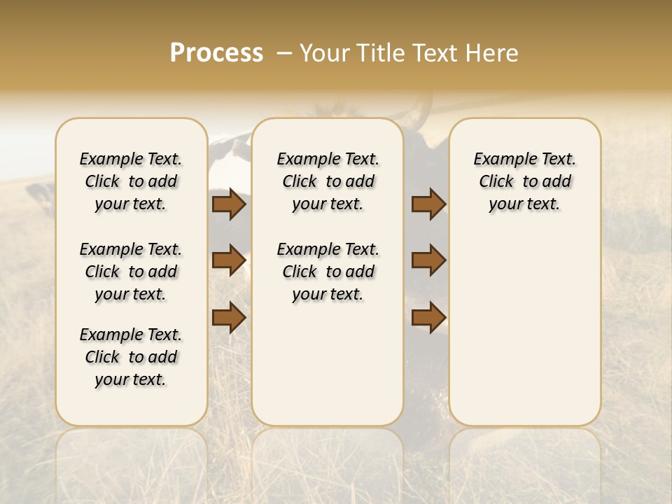 Close Up Green Black PowerPoint Template