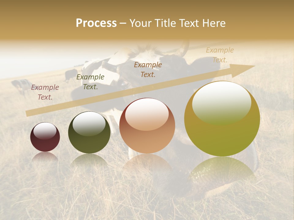 Close Up Green Black PowerPoint Template