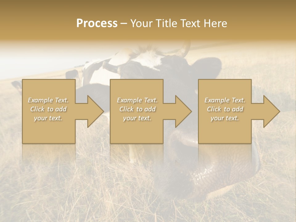 Close Up Green Black PowerPoint Template