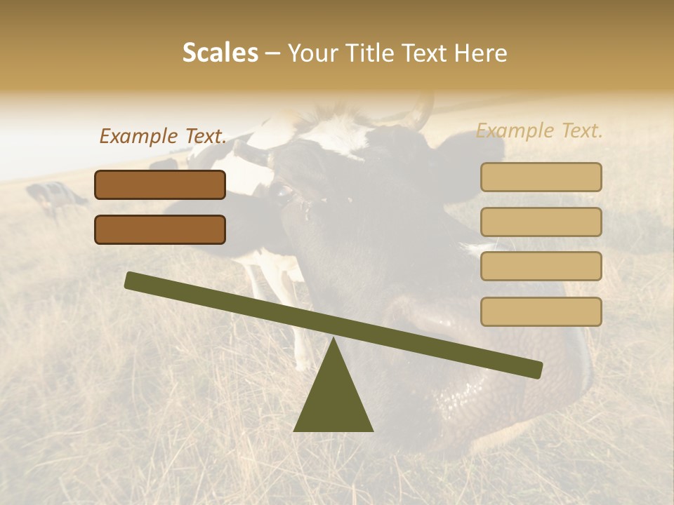 Close Up Green Black PowerPoint Template
