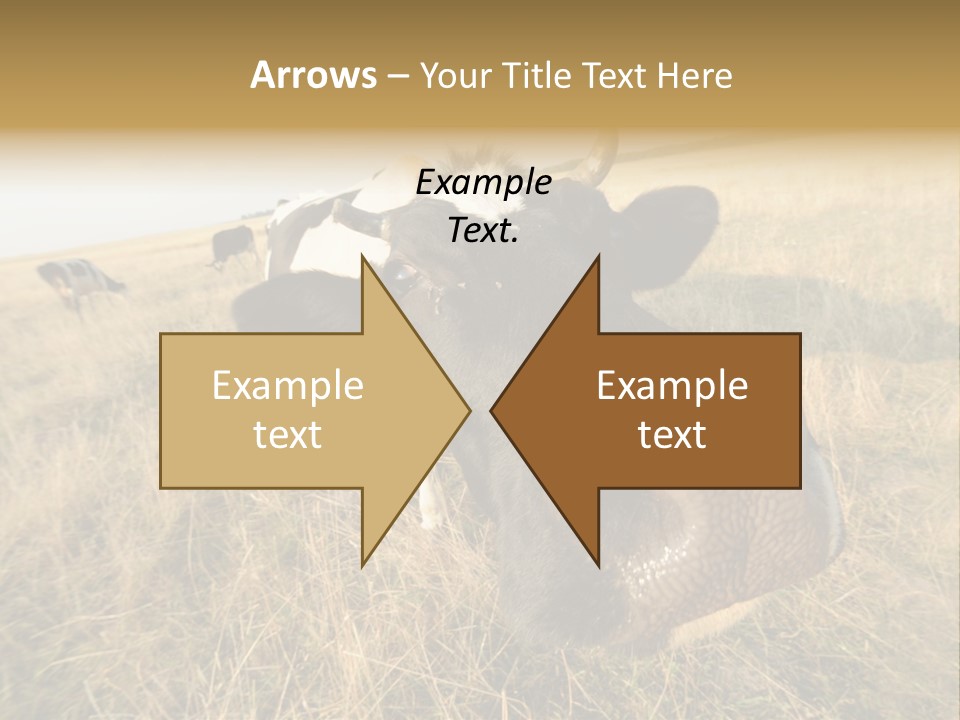 Close Up Green Black PowerPoint Template