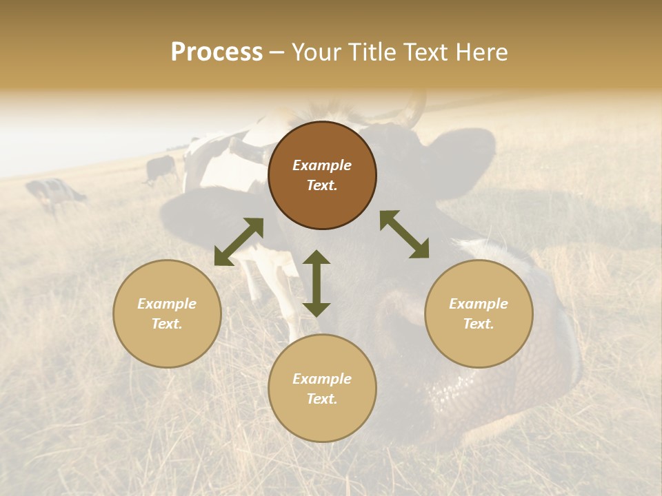 Close Up Green Black PowerPoint Template