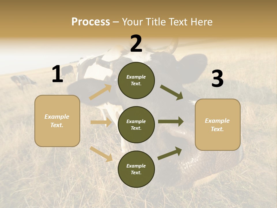 Close Up Green Black PowerPoint Template