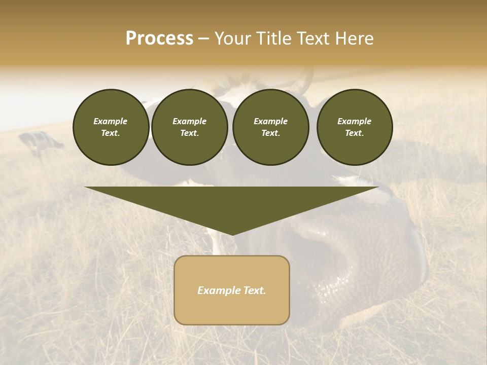 Close Up Green Black PowerPoint Template