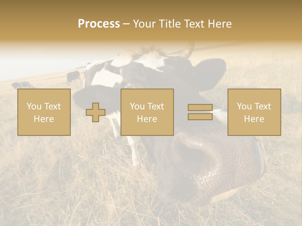 Close Up Green Black PowerPoint Template