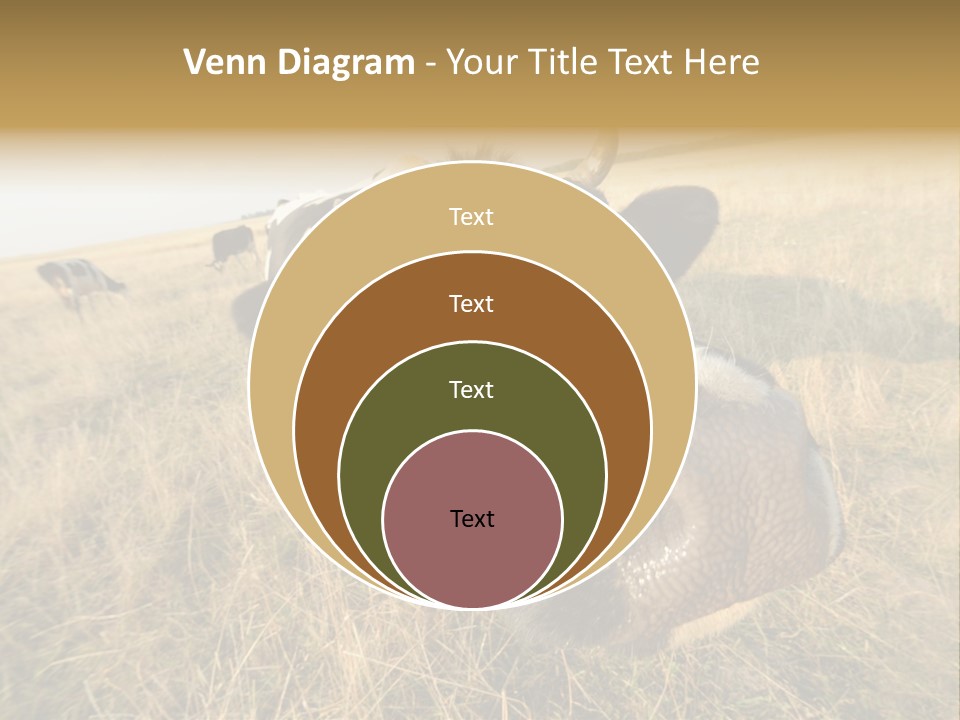 Close Up Green Black PowerPoint Template