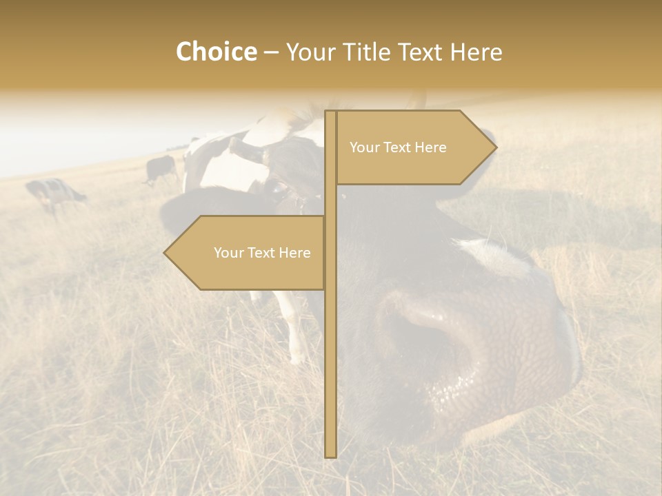 Close Up Green Black PowerPoint Template