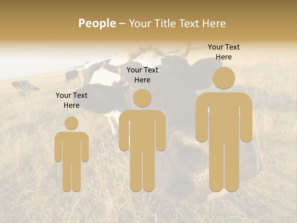 Close Up Green Black PowerPoint Template