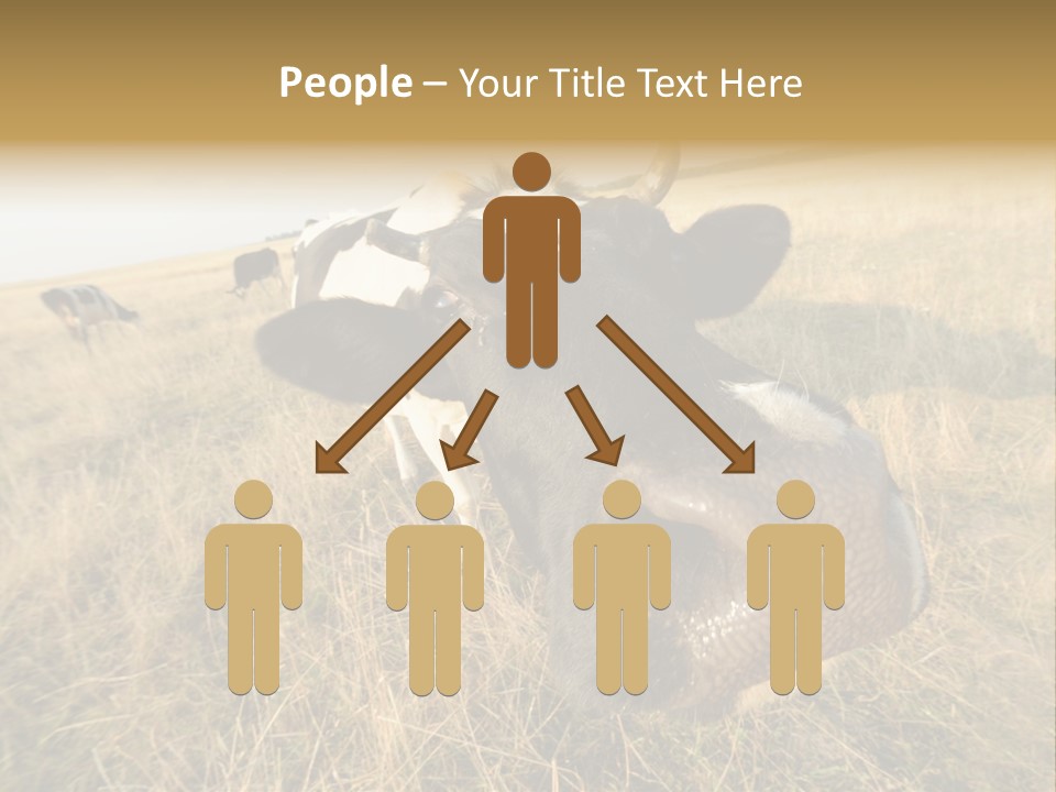 Close Up Green Black PowerPoint Template