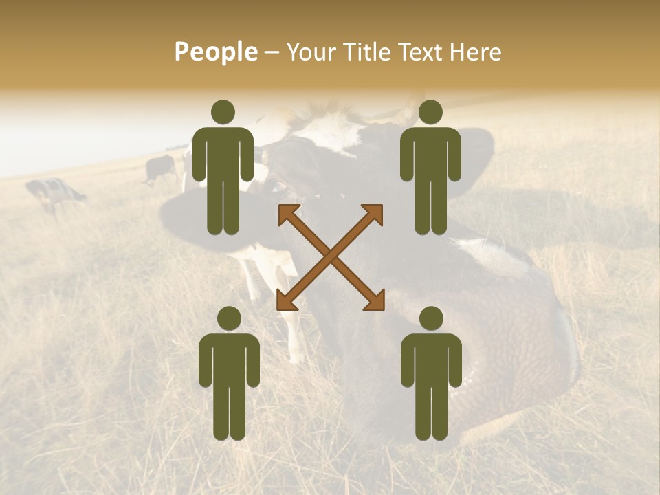 Close Up Green Black PowerPoint Template