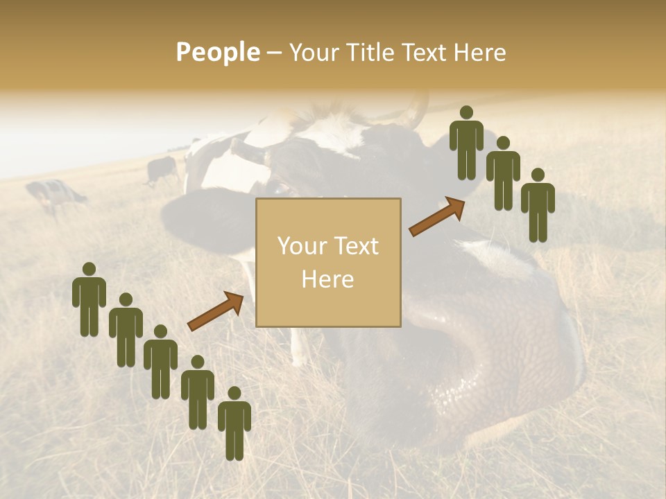 Close Up Green Black PowerPoint Template