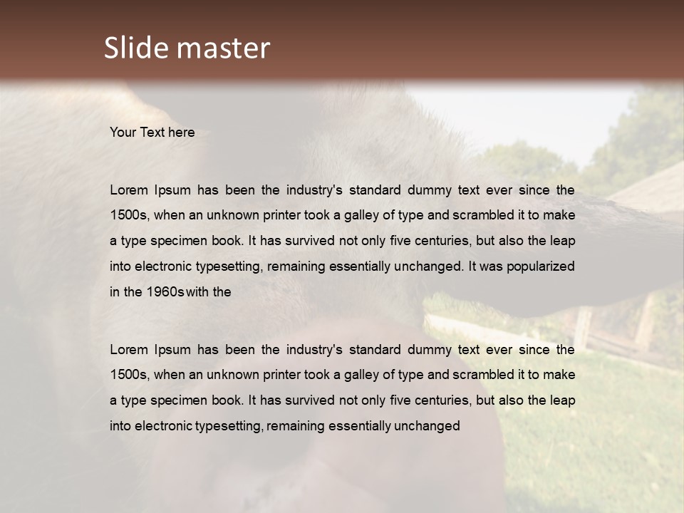 Funny Pig PowerPoint Template